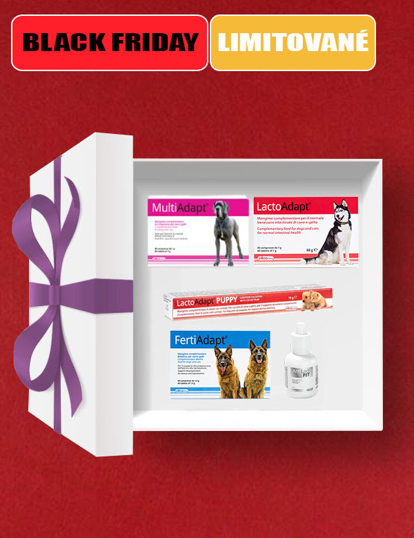 1763570538BF KENNEL Box.jpg